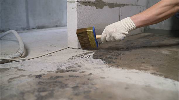 Top rated local Waterproofing specialists in Oak Ridge, TN